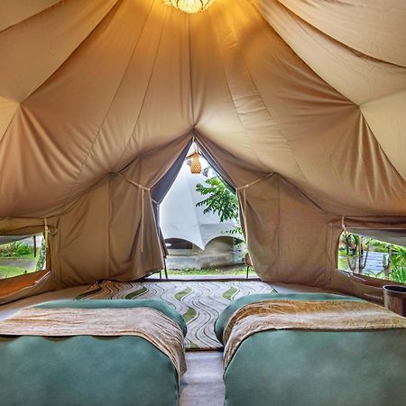 Alamu Eco Lodge 贝都古 外观 照片