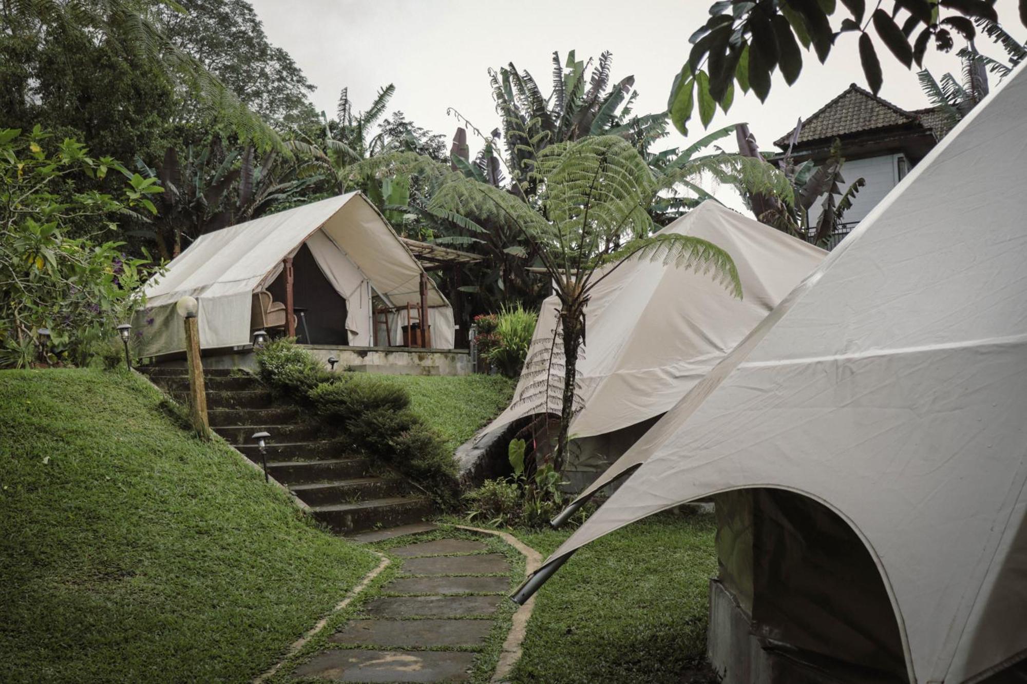 Alamu Eco Lodge 贝都古 外观 照片