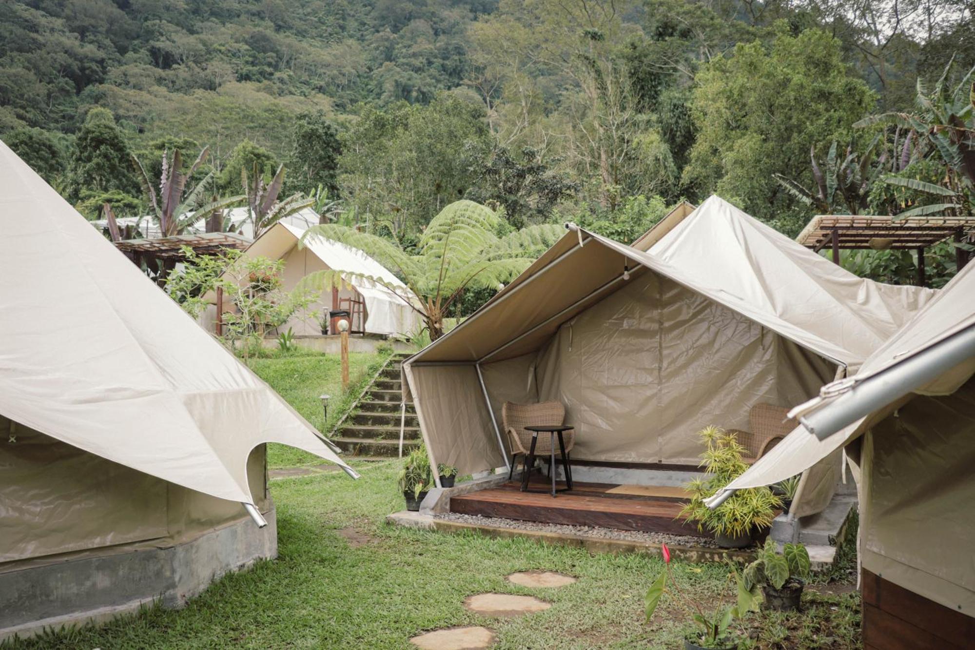 Alamu Eco Lodge 贝都古 外观 照片