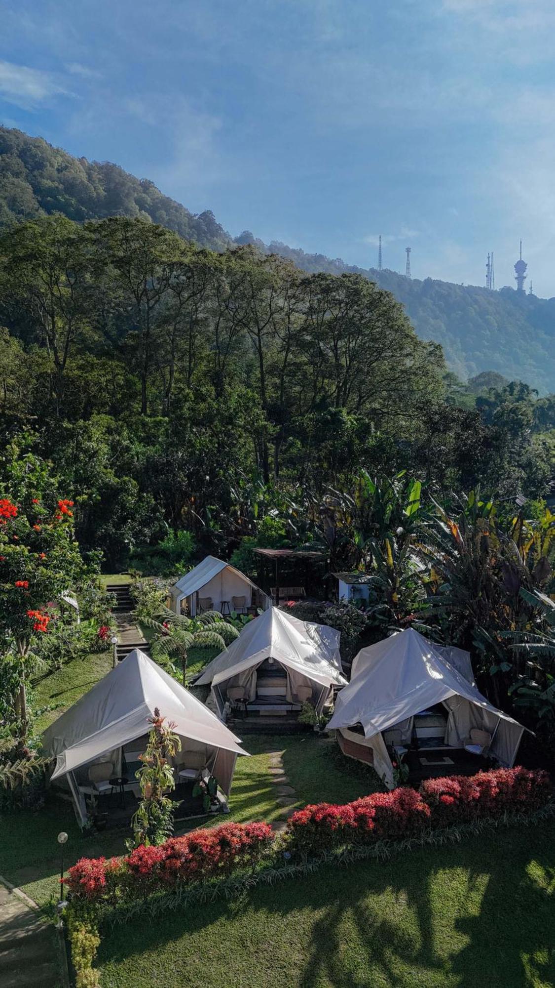 Alamu Eco Lodge 贝都古 外观 照片