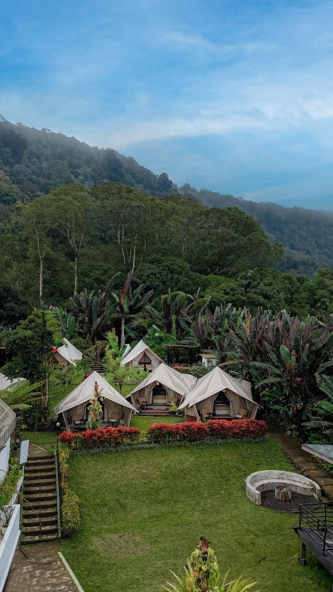 Alamu Eco Lodge 贝都古 外观 照片