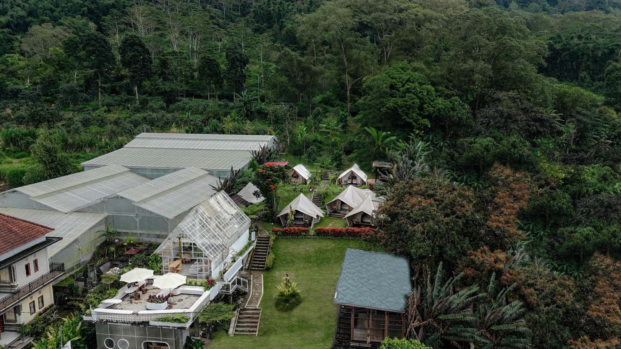Alamu Eco Lodge 贝都古 外观 照片
