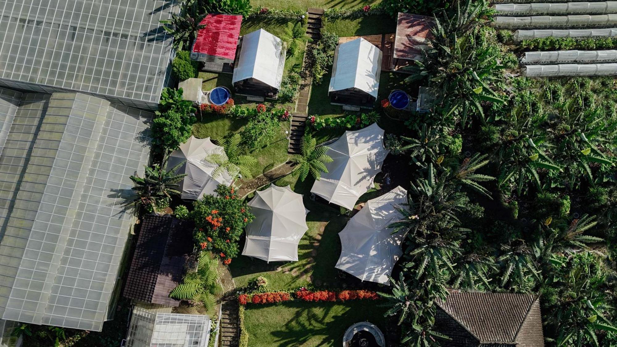 Alamu Eco Lodge 贝都古 外观 照片