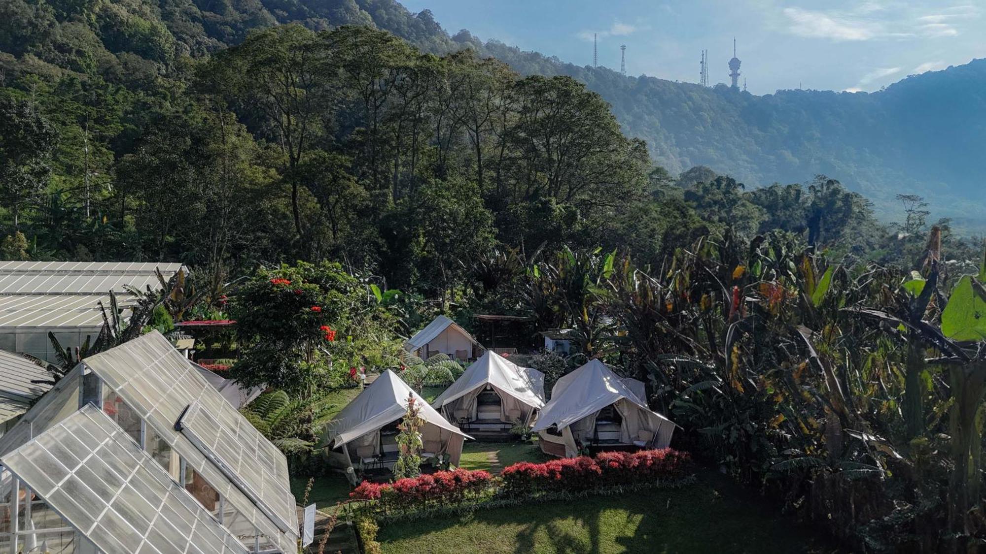 Alamu Eco Lodge 贝都古 外观 照片