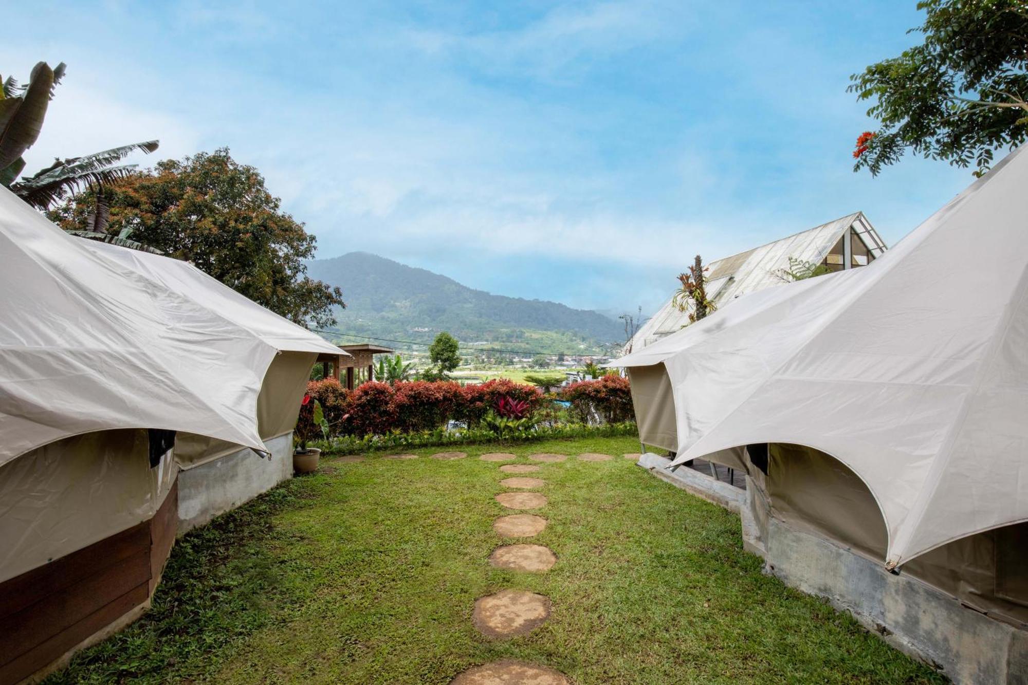 Alamu Eco Lodge 贝都古 外观 照片
