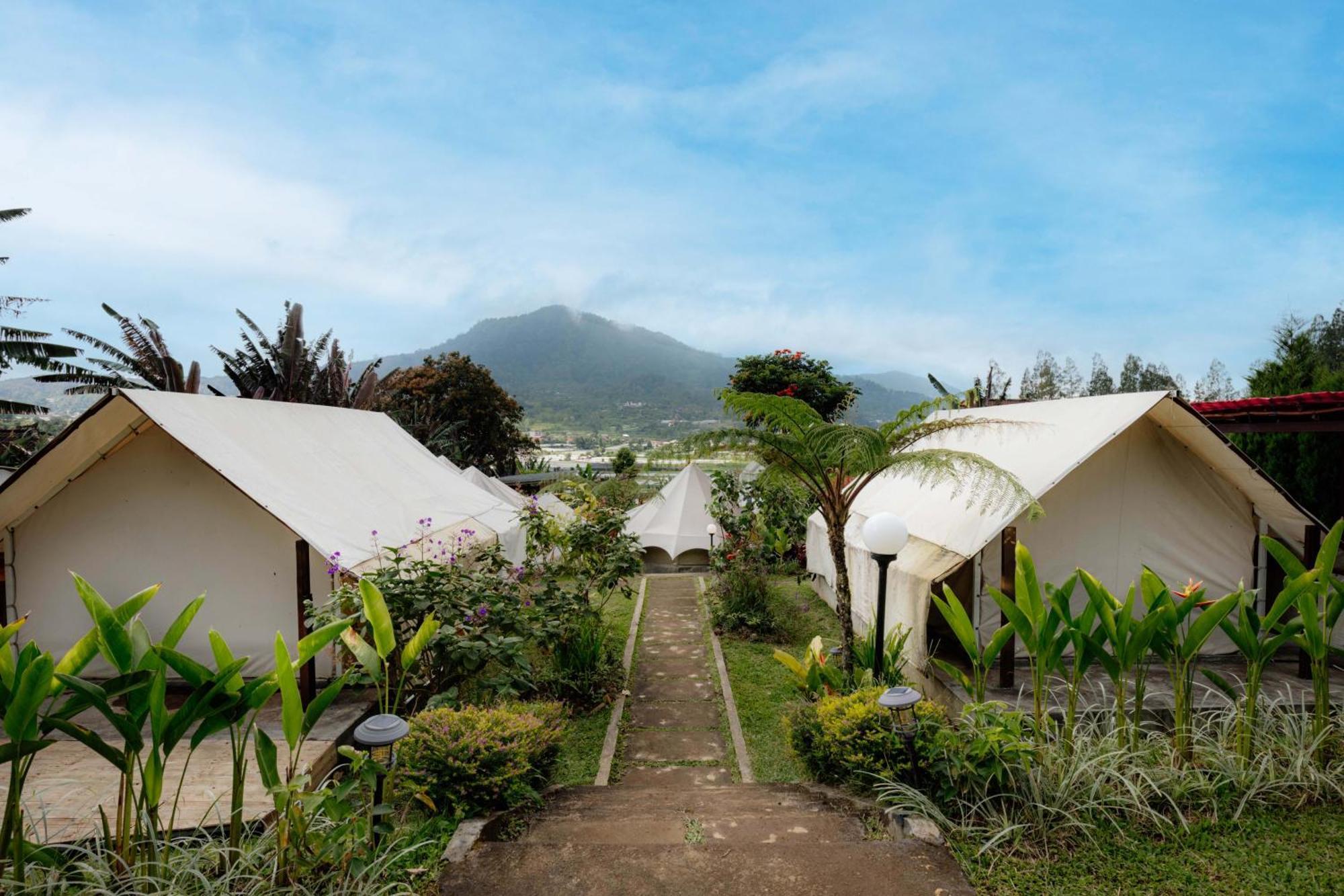 Alamu Eco Lodge 贝都古 外观 照片