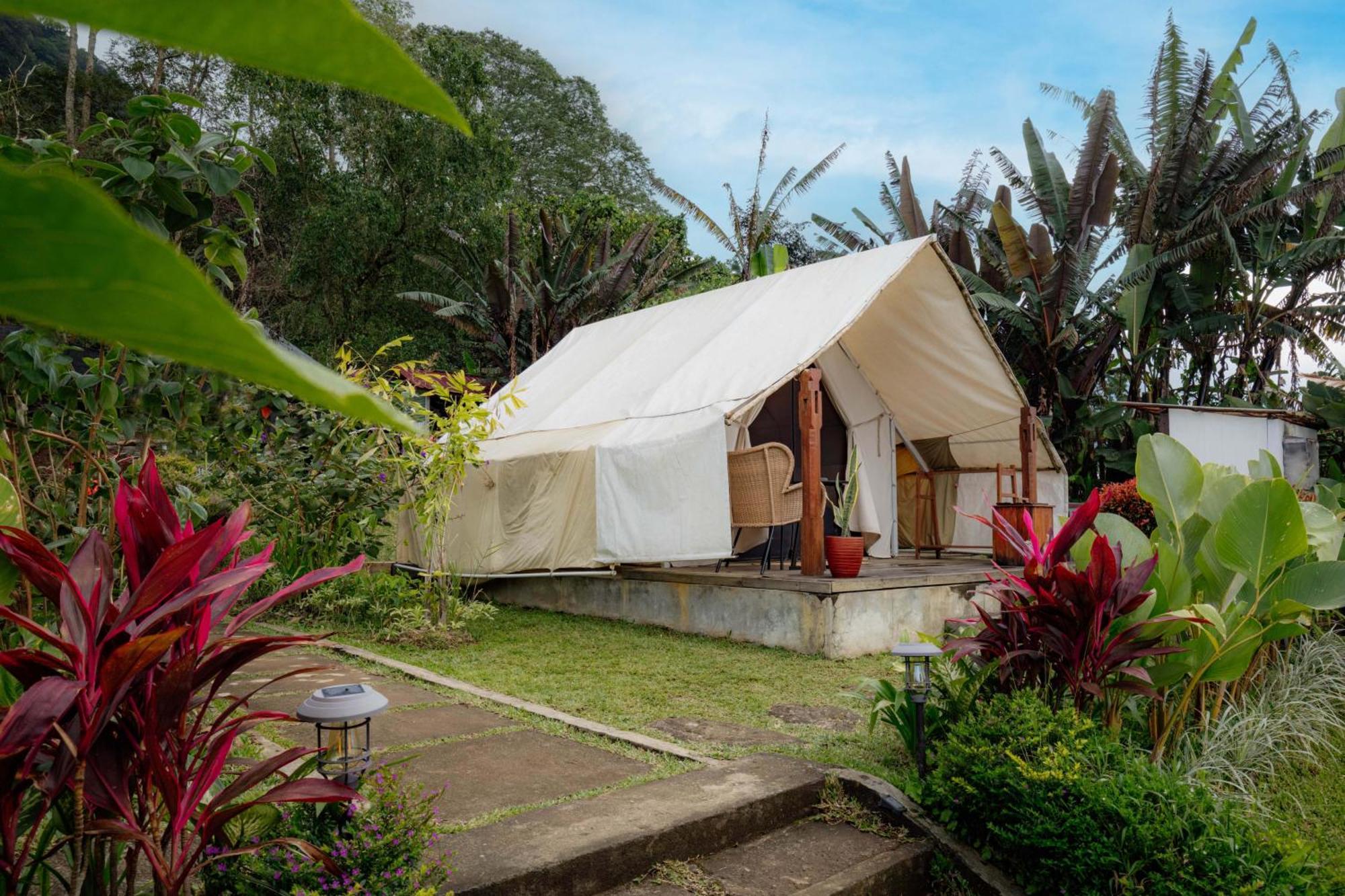 Alamu Eco Lodge 贝都古 外观 照片