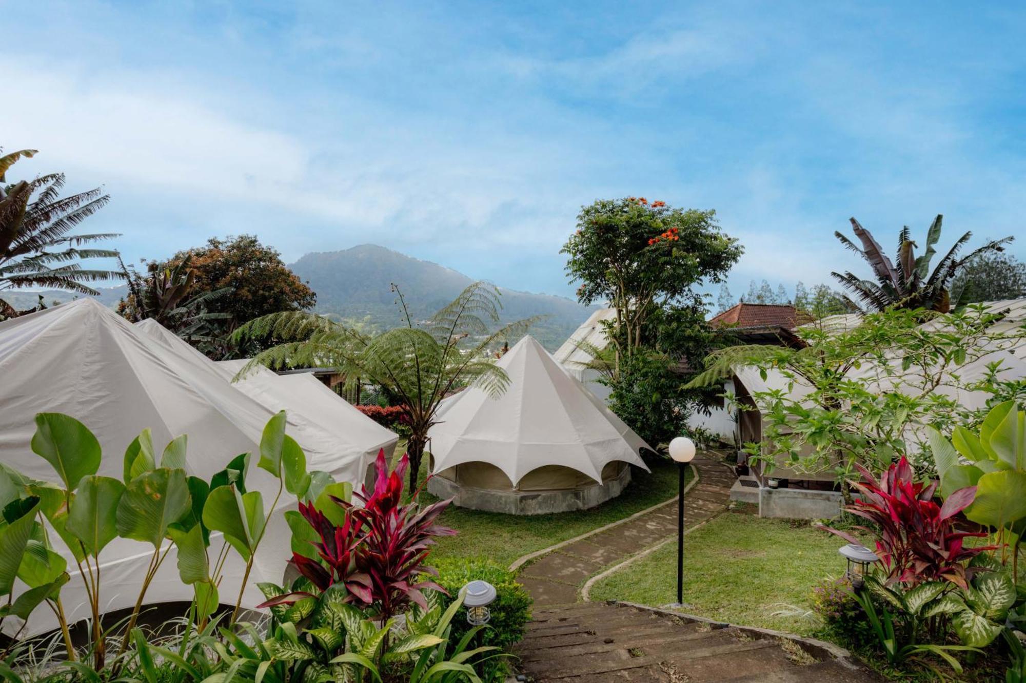 Alamu Eco Lodge 贝都古 外观 照片