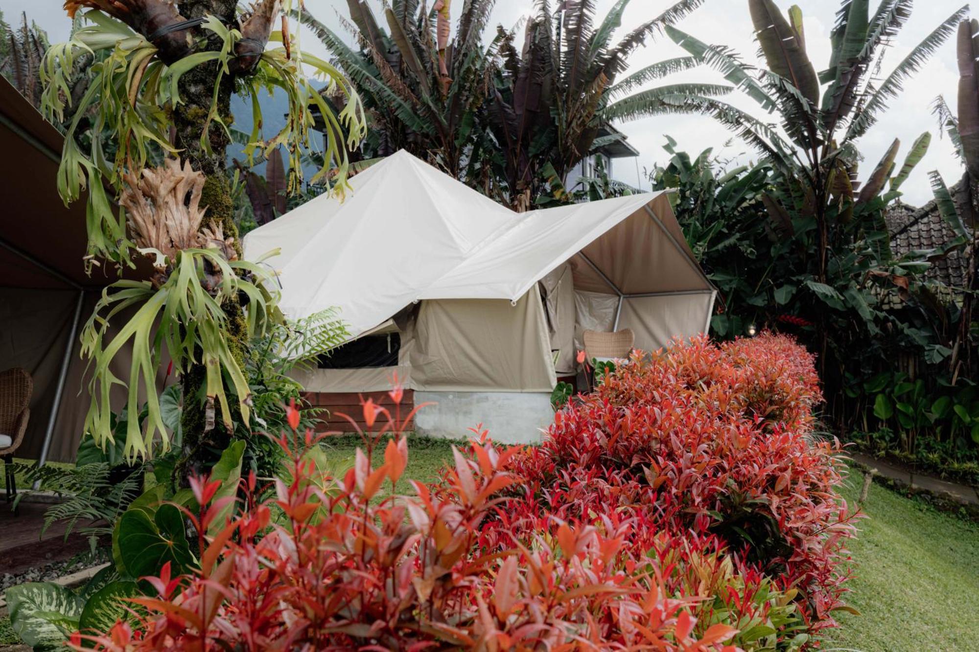 Alamu Eco Lodge 贝都古 外观 照片