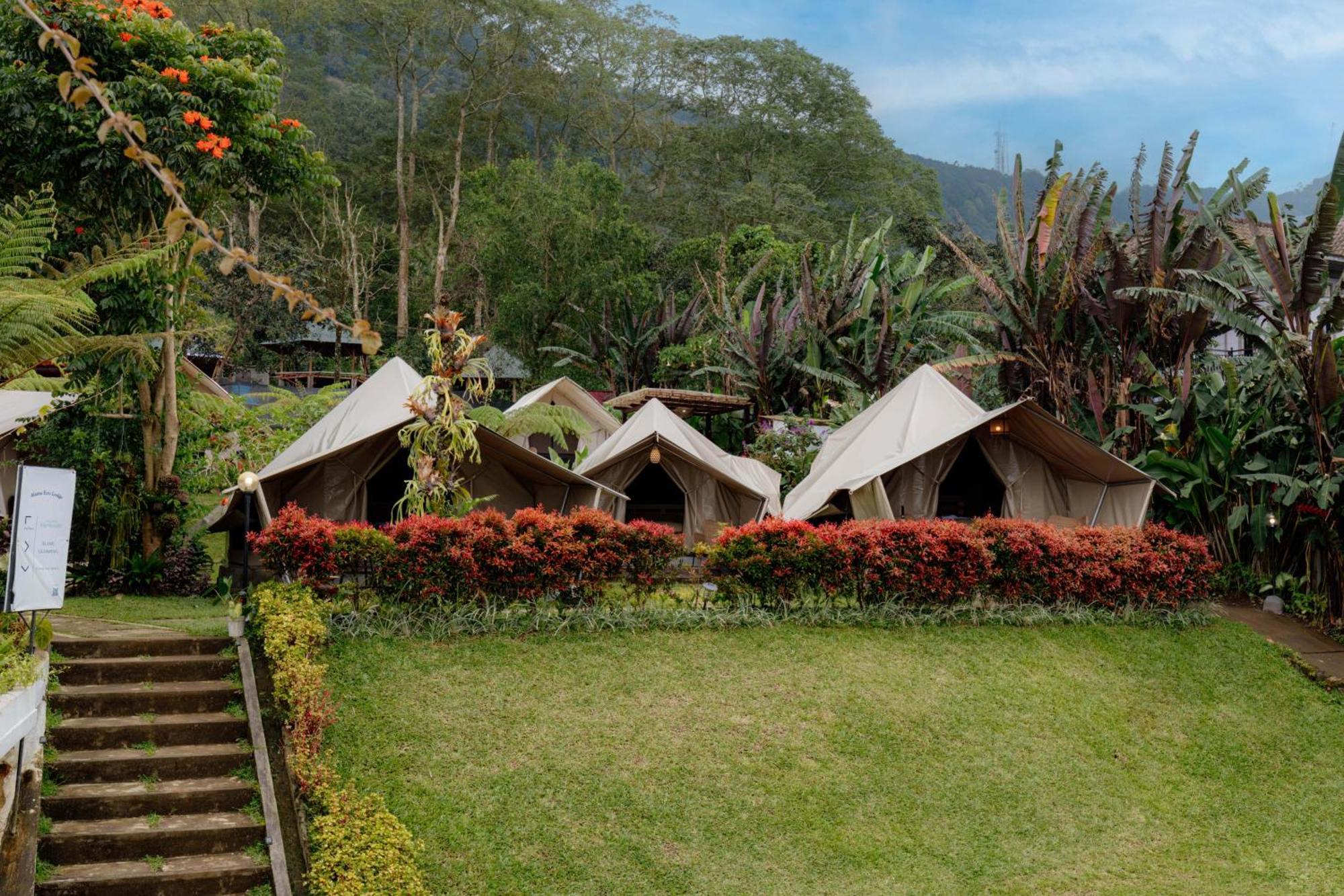 Alamu Eco Lodge 贝都古 外观 照片