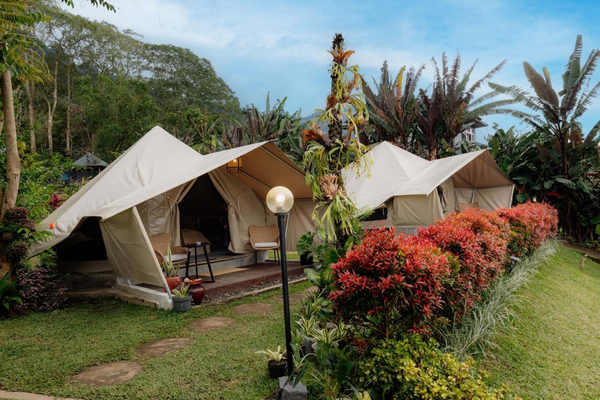 Alamu Eco Lodge 贝都古 外观 照片